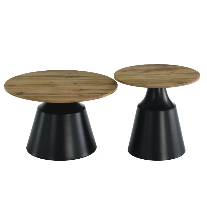 Coffee table Itaka Wood set 2 pieces metal base & wooden top 130x70cm