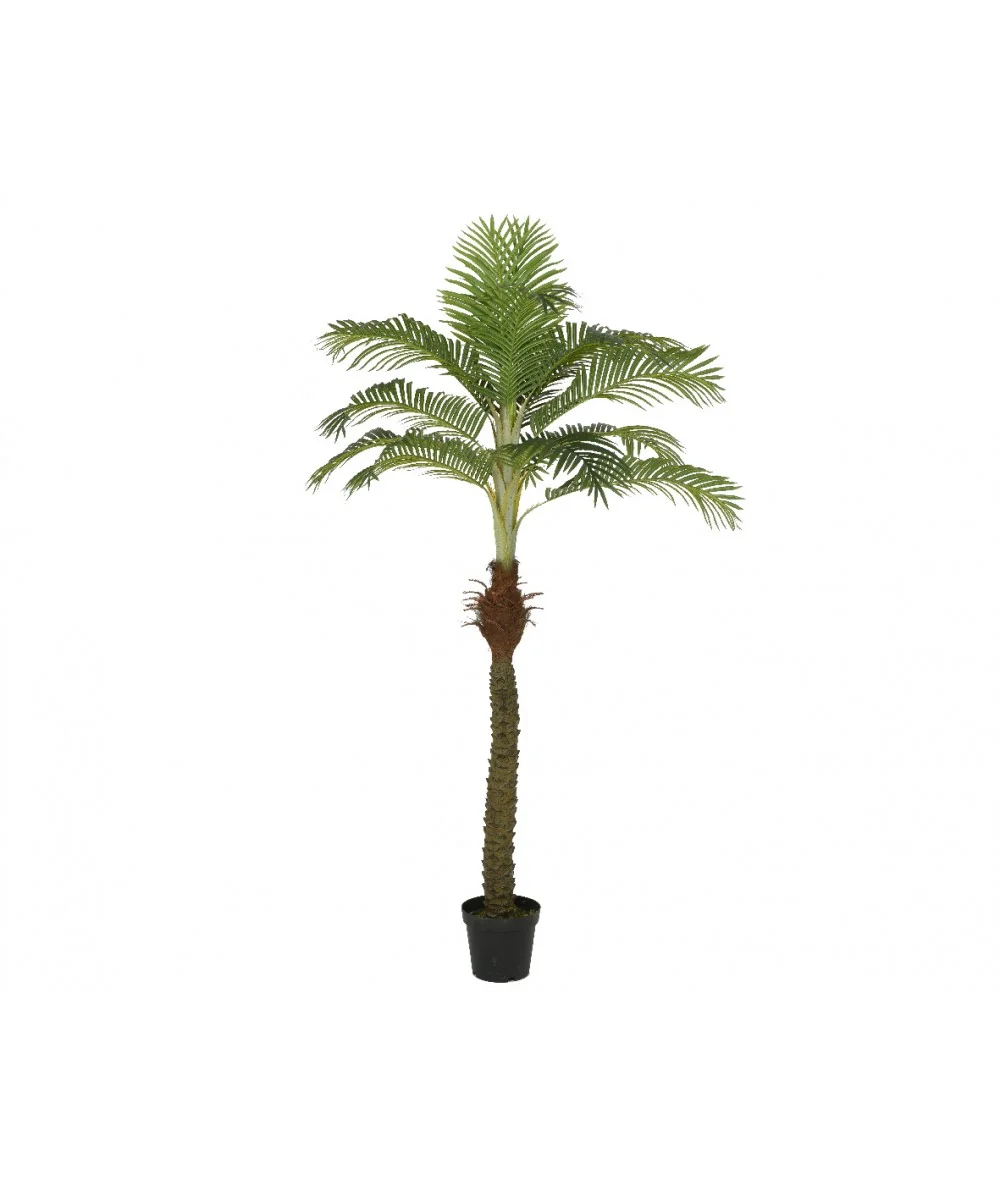 Διακοσμητικό φυτό Palm tree 230cm