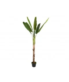 Deco plant Banana tree 250cm