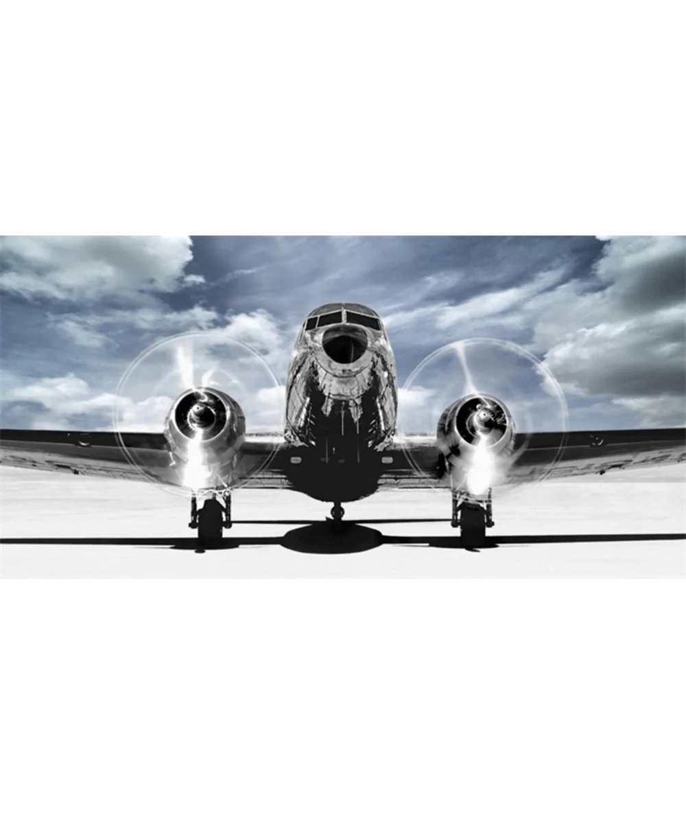 Πίνακας Airplane Taking Off Alu 200 x 100cm