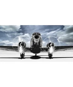 Πίνακας Airplane Taking Off Alu 200 x 100cm